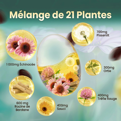 Mélange de 21 plantes